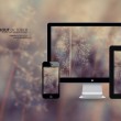ios图片浏览器